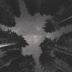 Late Night Bright Light