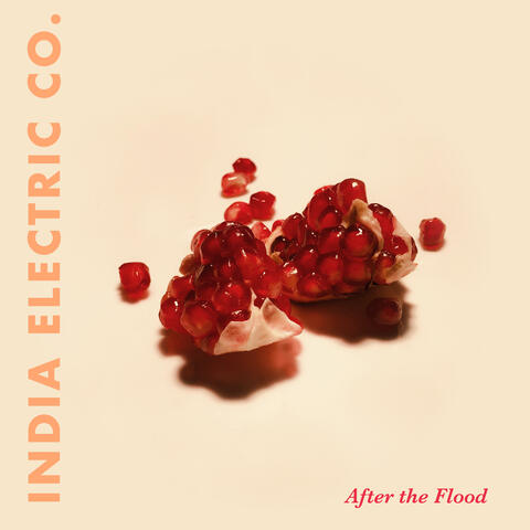 After the Flood