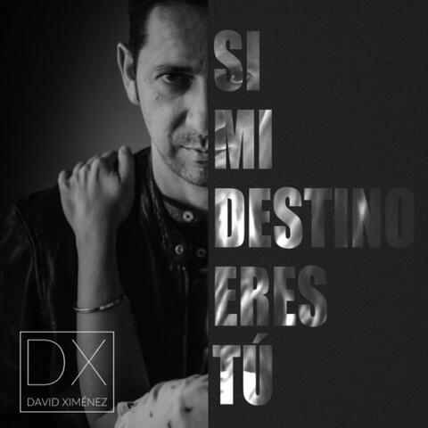 Si Mi Destino Eres Tú
