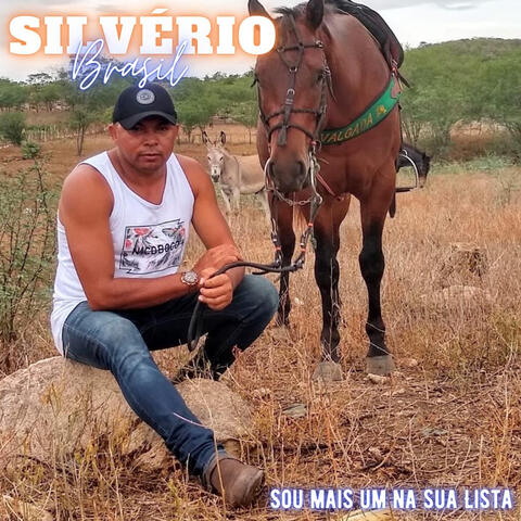 Sou Mais Um Na Sua Lista