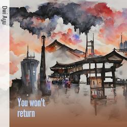 You Won't Return