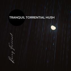 Tranquil Torrential Hush