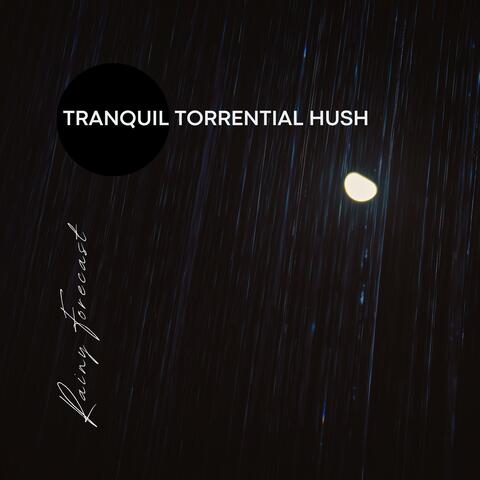 Tranquil Torrential Hush