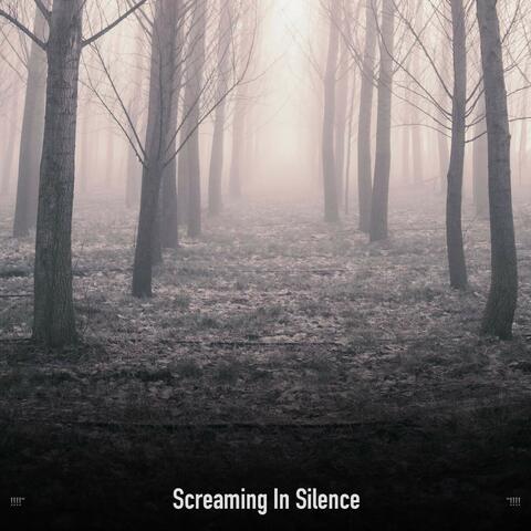!!!!" Screaming In Silence "!!!!