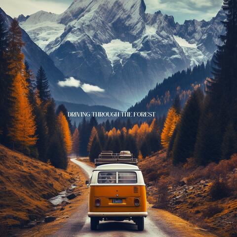 Driving Through The Forest