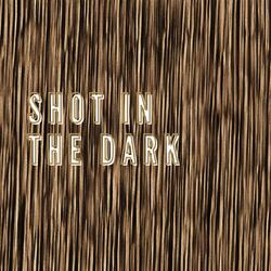 Shot in the dark