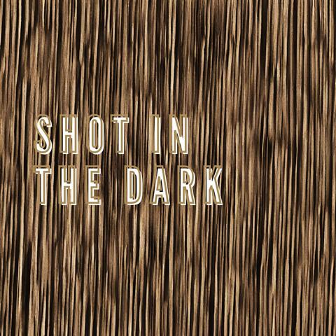 Shot in the dark