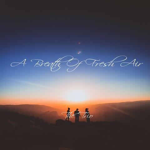 A Breath of Fresh Air