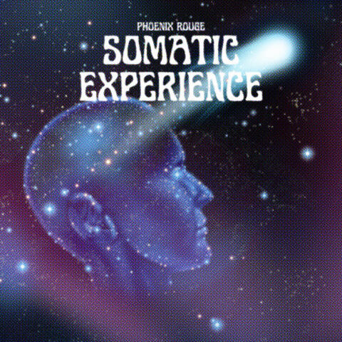 Somatic Experience