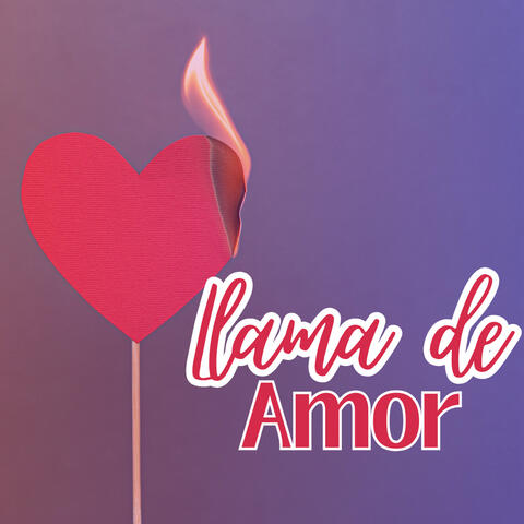 Llama de Amor