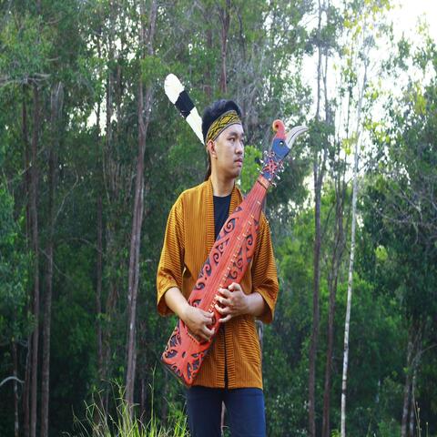Nature of Borneo