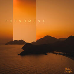 Phenomena
