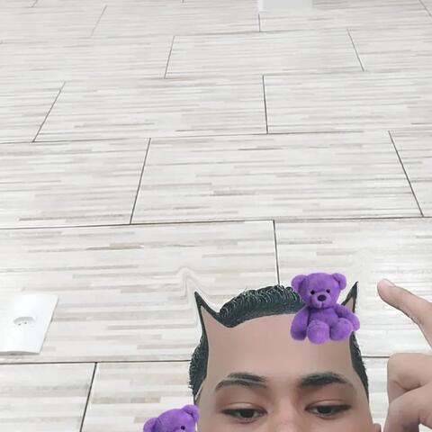 SÓ NO SEXO ANIMAL