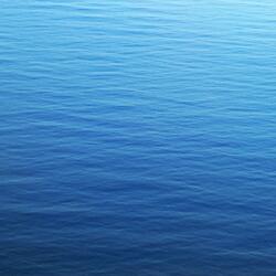 Canto de Renovación