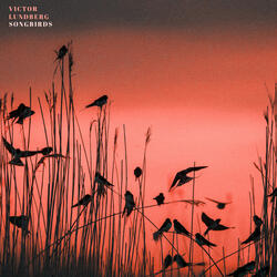 Songbirds