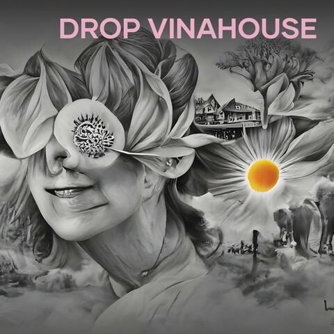Drop Vinahouse