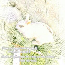 Holy, Nimrod - Piano Sonata Yn6-3