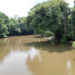 Fish on !! ( Fayz Battle Theme )