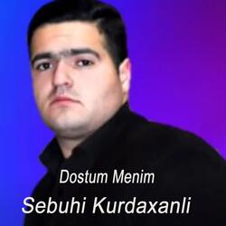 Dostum Menim