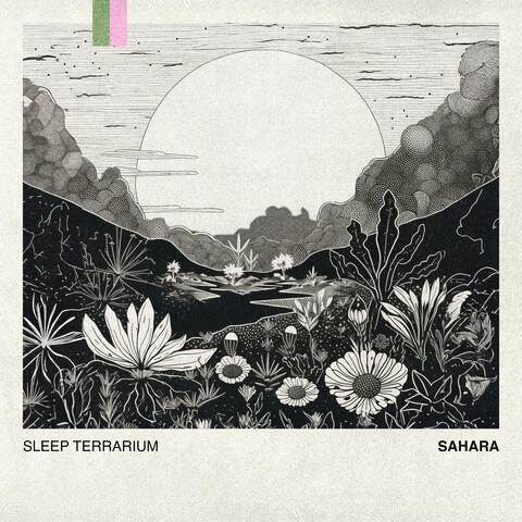 Sahara