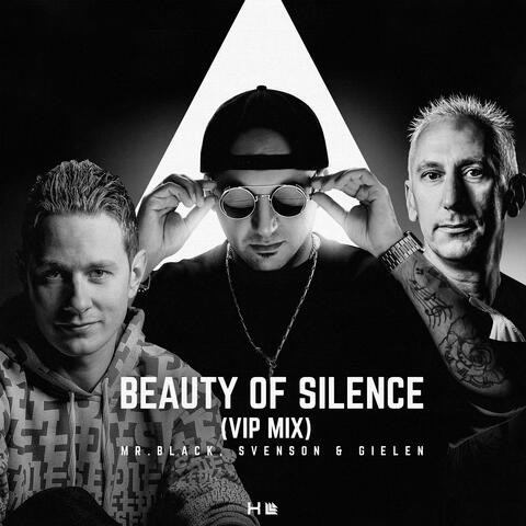Beauty of Silence