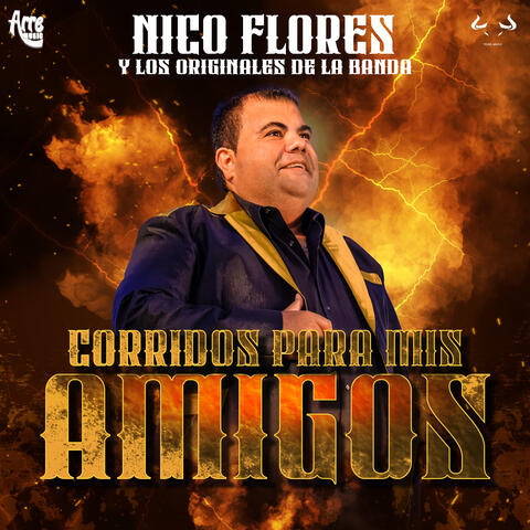 Corridos Para Mis Amigos