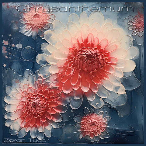 Chrysanthemum
