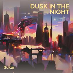 Dusk in the Night
