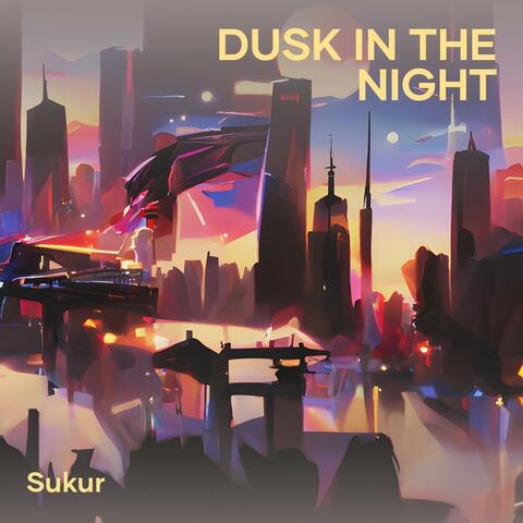 Dusk in the Night