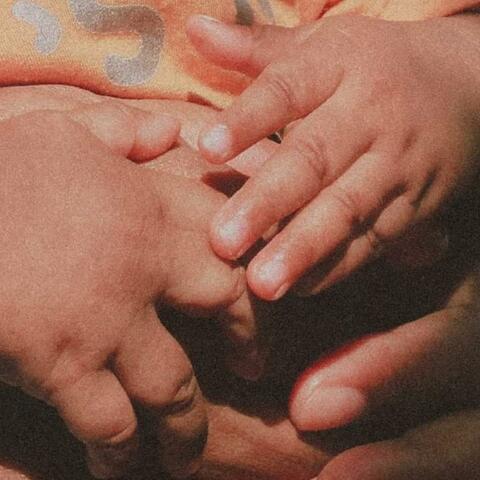 Kalabahi Kota Kenari