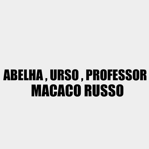 ABELHA, URSO, PROFESSOR MACACO RUSSO
