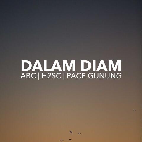 Dalam Diam