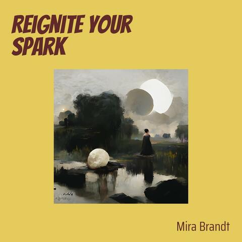 Reignite Your Spark