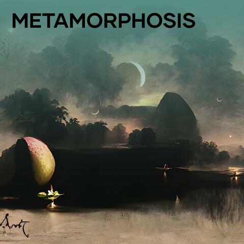 Metamorphosis