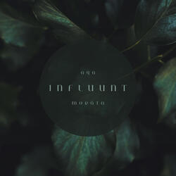 Influunt