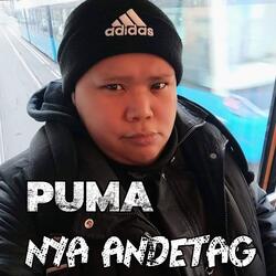 Nya Andetag