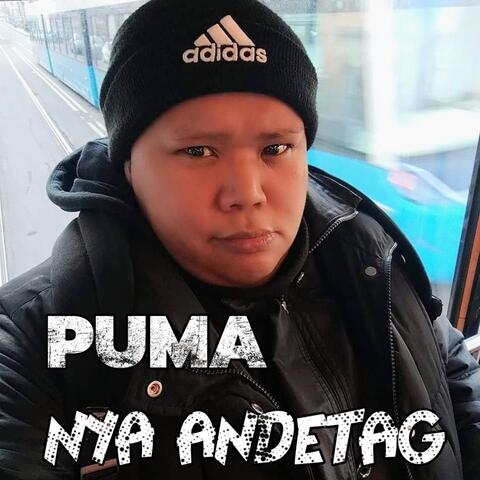 Nya Andetag