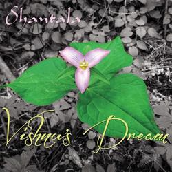 Vishnu's Dream