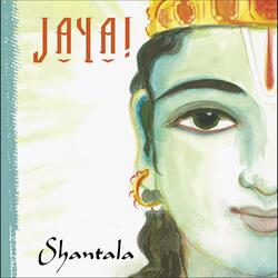 Om Namah Shivaya