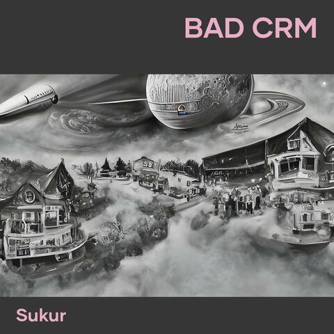 Bad Crm