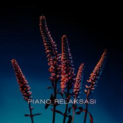 Piano Relaksasi