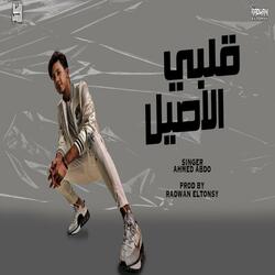 قلبي الاصيل ( انا قلبي من الناس اتخدع )