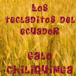 Los Tecladitos del Ecuador (En Mi Chocita)