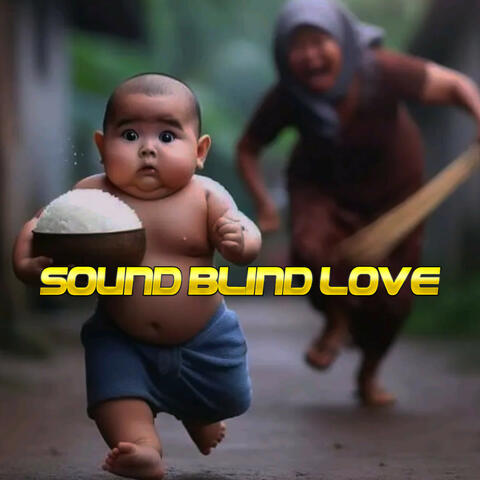 Sound Blind Love