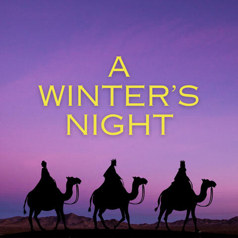 A Winter's Night