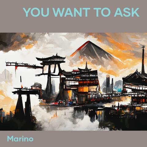 You Want to Ask