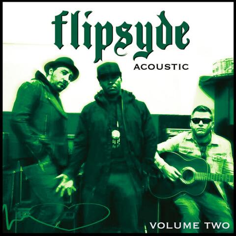 Acoustic Vol. 2