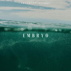 Embryo