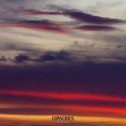 Conscious