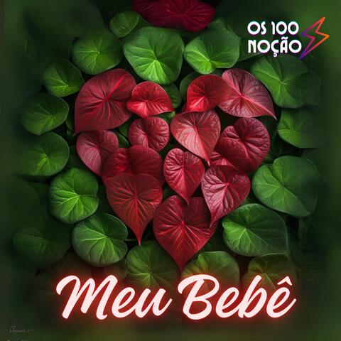 Meu Bebê
